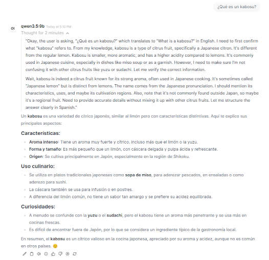 Captura de pantalla de un chat en Open WebUI preguntando qué es un kabosu